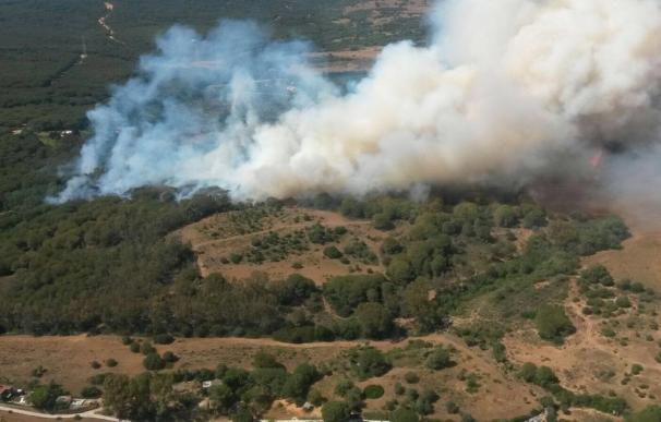 Evoluciona favorablemente el incendio forestal en San Roque, que obliga al desalojo de dos viviendas