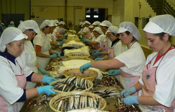 Conservera del Besaya instalará una fábrica de anchoas en Tanos-Viérnoles que creará 20 empleos