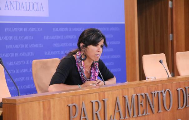 Podemos Andalucía presenta 124 enmiendas parciales por valor de 1.289 millones en inversiones