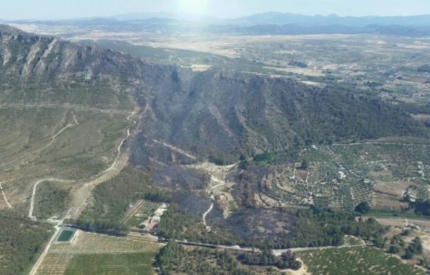 Efectivos del Plan Infomur controlan el incendio declarado en la Sierra del Molino (Calasparra)