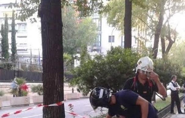 El Ayuntamiento de Madrid indemnizará con 21.000 euros a una mujer herida por una rama