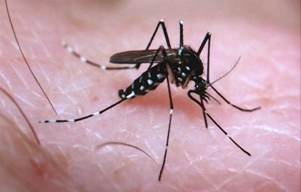 La difusión de teorías conspiratorias del Zika en redes sociales ponen en riesgo a la población más vulnerable