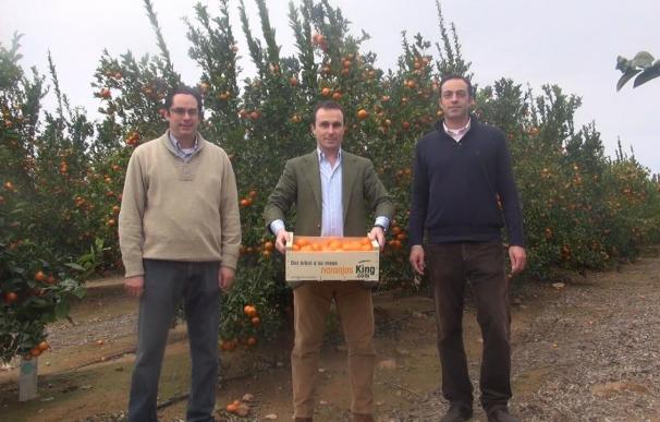 COMUNICADO: Nace Naranjas King, una tienda VIP para comprar naranjas online