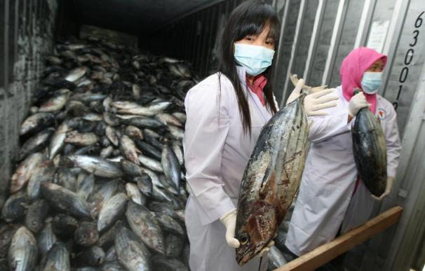 Japón redoblará el control de productos pesqueros ante la elevada radiactividad