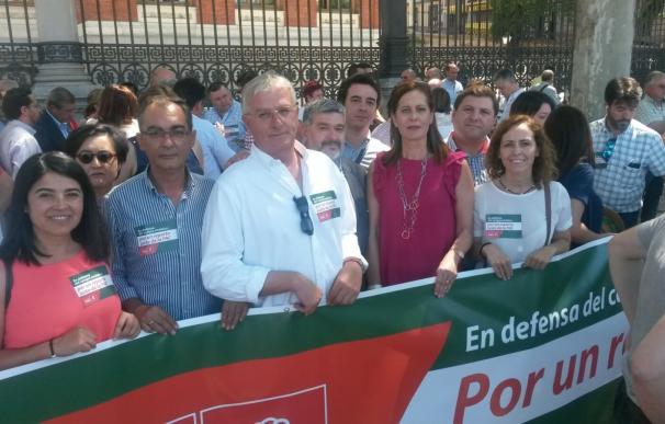 Más de 30 alcaldes y concejales del PSOE de Sevilla participan en Madrid en la concentración por la PAC