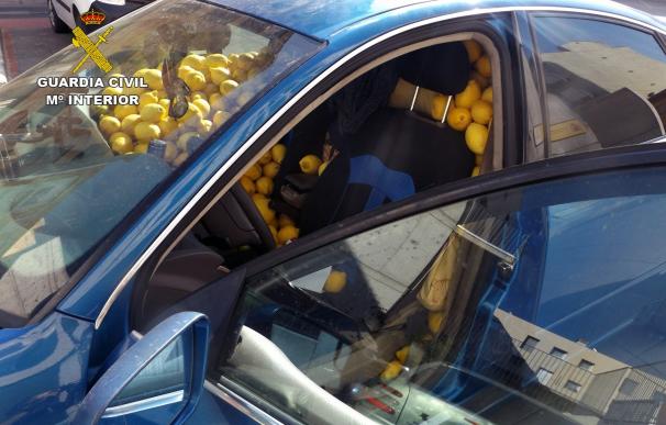 Guardia Civil detiene a 10 personas con 4 toneladas de limones acusados de 30 robos en fincas de Murcia