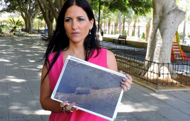 PSOE exige al Ayuntamiento que "desinfecte de ratas e insectos" el parque Nicolás Salmerón "de inmediato"