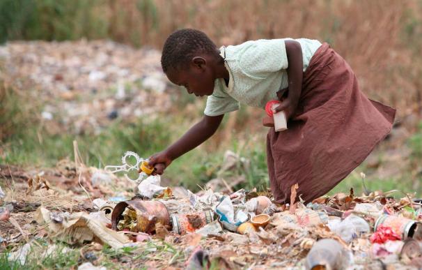 Cada persona desperdicia por año casi 300 kilos de alimentos, denuncia la FAO