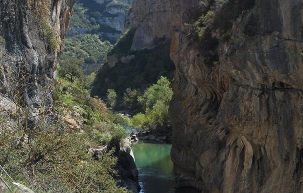 Navarra contará este año con planes de gestión de todos los espacios naturales protegidos de la Red Natura 2000
