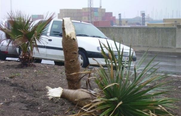El temporal de viento en Cádiz provoca numerosas incidencias en la provincia