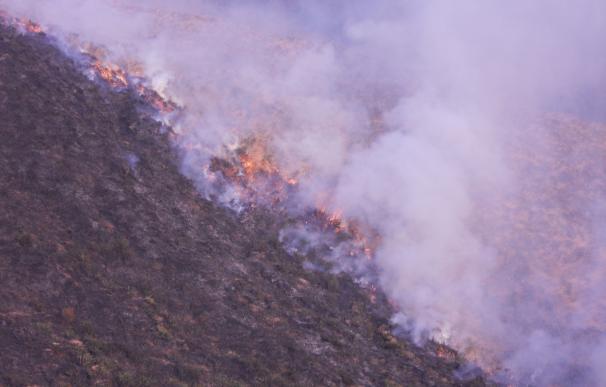 Continúan activos 10 incendios forestales en Cantabria, la mayoría en los valles del Pisueña y el Miera