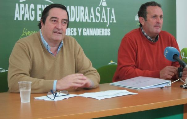 APAG Extremadura Asaja y Asaja Cáceres se presentarán en coalición a las elecciones al campo en la región