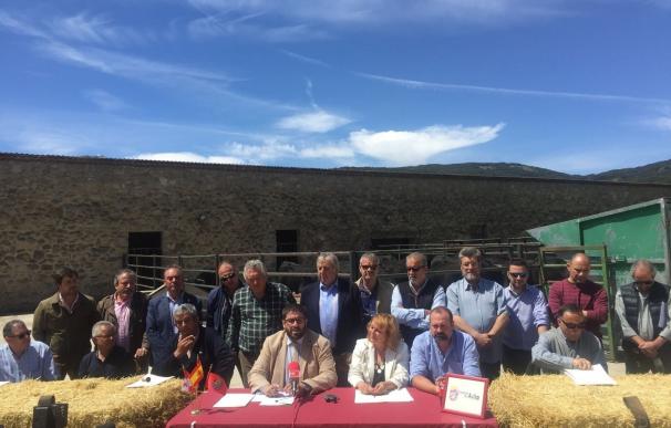 La Diputación de Ávila cede ocho ejemplares de raza avileña para fomentar la ganadería