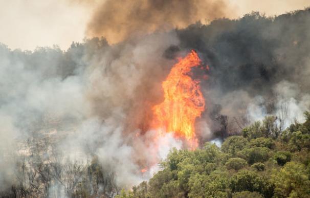 España vive el segundo inicio más negro en incendios en diez años