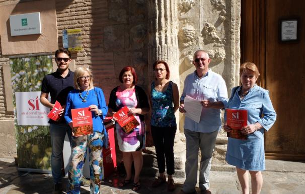 El PSOE promoverá un pacto para "consolidar Granada como un referente internacional de la cultura"