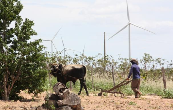 Iberdrola toma el control de 288 MW eólicos en Brasil al adquirir participación que no poseía por 98 millones