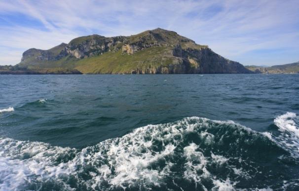 Liendo y SEO/BirdLife protegerán la única colonia de buitre sobre un acantilado marino en España