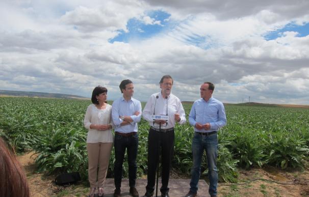 Rajoy visita una finca de alcachofas en Tudela y dice que le "emociona" el sector de la agricultura