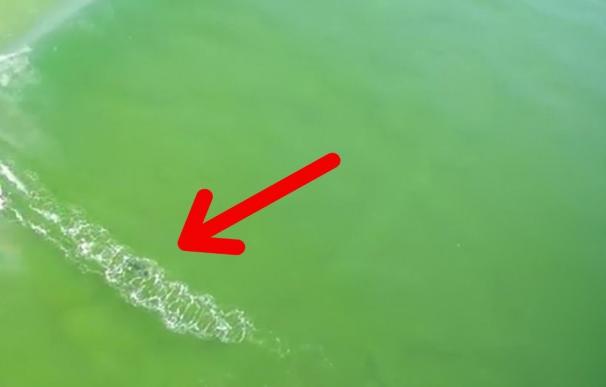 El aterrador momento en el que un tiburón va directo a atacar a un surfista