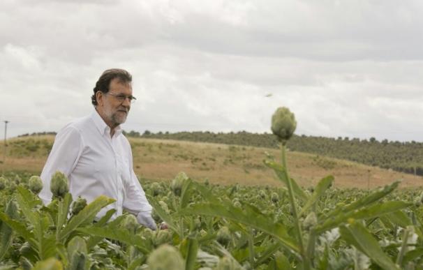 La campaña también nos hace reír: Rajoy entre alcachofas y Sánchez con espetos