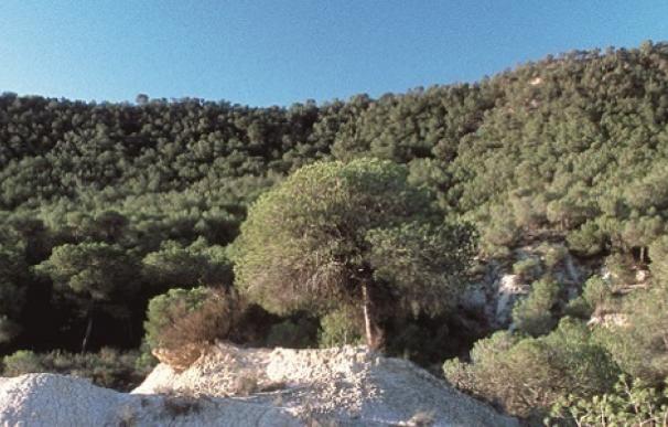 Arrancan los trámites para declarar paisaje protegido la Sierra Escalona, la Dehesa de Campoamor y su entorno
