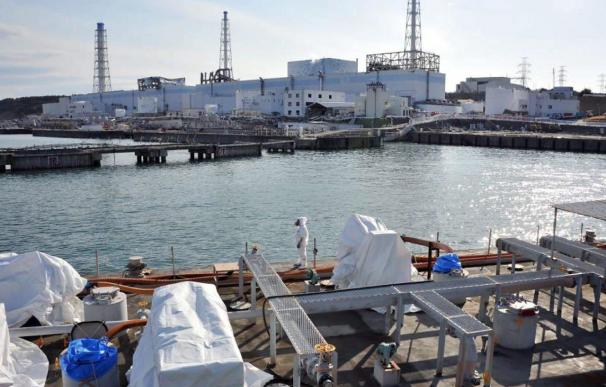 Japón podría ampliar la zona de evacuación ante la larga crisis de Fukushima