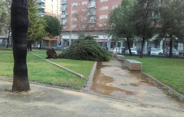 El temporal provoca numerosas incidencias en Huelva y decenas de intervenciones de bomberos