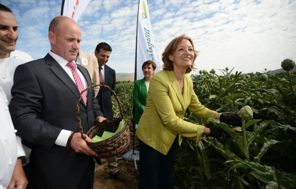 Junta resalta la "calidad excepcional" de la alcachofa y anima a aumentar su consumo