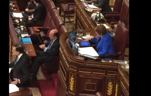 La otra vicepresidenta de PP del Congreso defiende que Villalobos juegue en el Pleno "mientras esté escuchando"