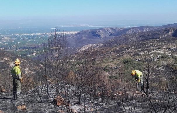 El Consell valenciano inicia las actuaciones para paliar los daños producidos en 15 municipios por el fuego