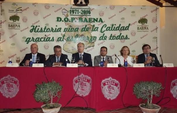 Diputación, Junta y Parlamento de Andalucía celebran los 45 años de la Denominación de Origen Baena
