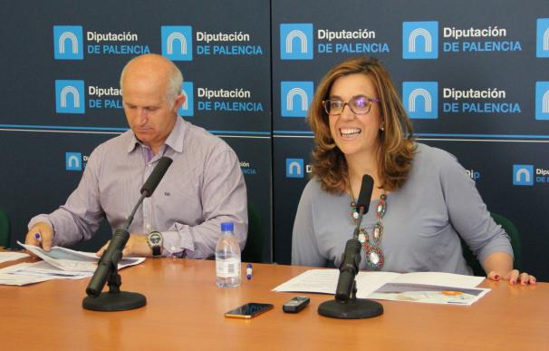 Los Planes Provinciales de Palencia supondrán la inversión de 7,8 millones, con un incremento del 7% desde 2015