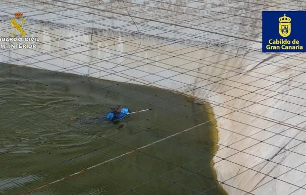 Rescatada una Garza Real atrapada en una balsa de agua en Santa María de Guía (Gran Canaria)