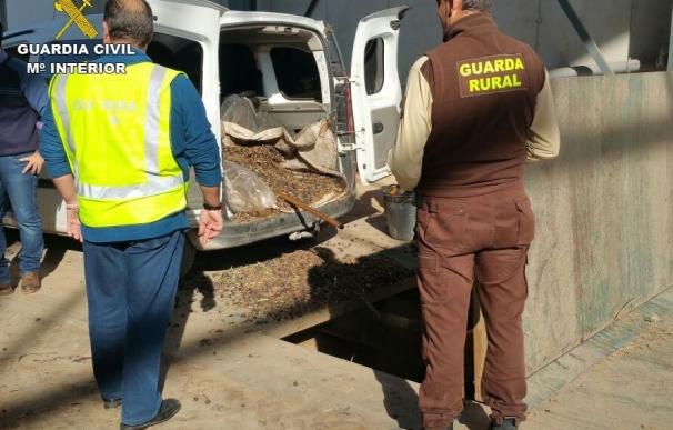 La Guardia Civil recupera en la última semana más de seis toneladas de aceituna robada