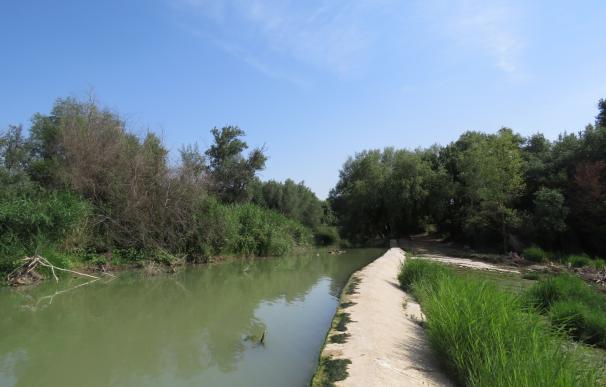 El Gobierno afirma que la autorización para la limpieza del Ebro en dos parajes de Tudela se concedió en 2014 y 2015