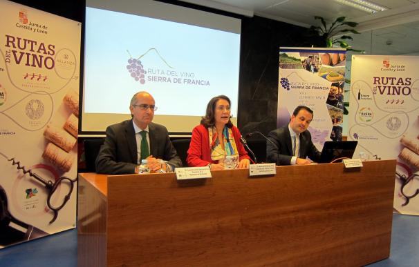 Castilla y León se sitúa líder como la comunidad con más rutas enoturísticas de España