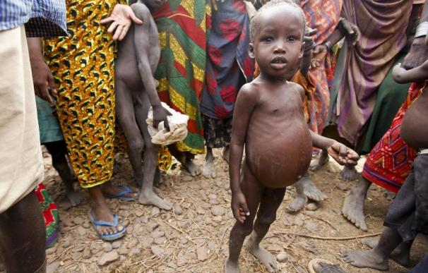 Los grandes olvidados: 11 millones de personas podrían morir de hambre en los próximos meses