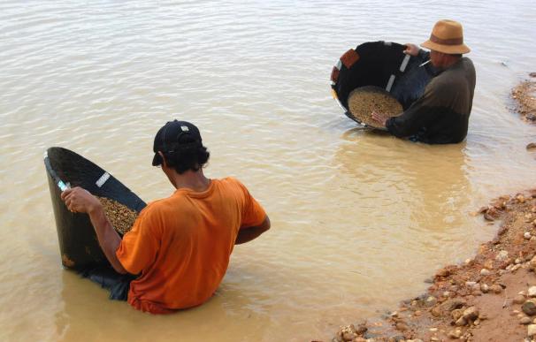 La isla de Borneo, un imán para los buscadores de diamantes de medio mundo