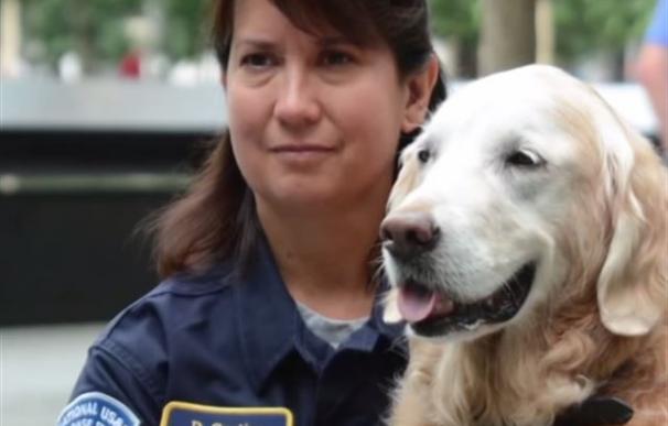 Bretagne, el último perro de rescate del 11-S, recibió la eutanasia a