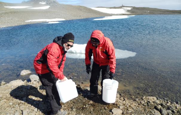Un profesor de la UJI participa en una expedición en la Antártida para analizar los efectos contaminantes de los humanos