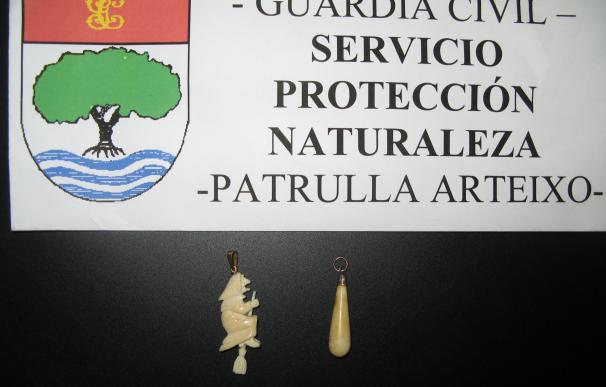 El Seprona interviene en Arteixo (A Coruña) marfil de elefante que se ofertaba a través de Internet