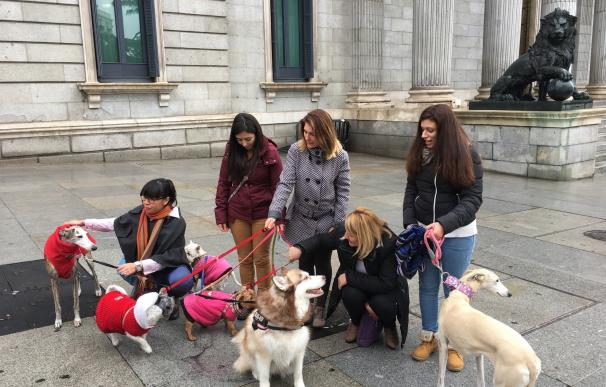 El PACMA acusa al PP de impedir que España asuma vía convenio europeo la prohibición de cortar el rabo a los perros