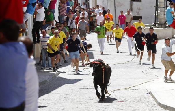 Más de 8.000 personas y mil corredores asisten al Toro de Cuerda en Carcabuey