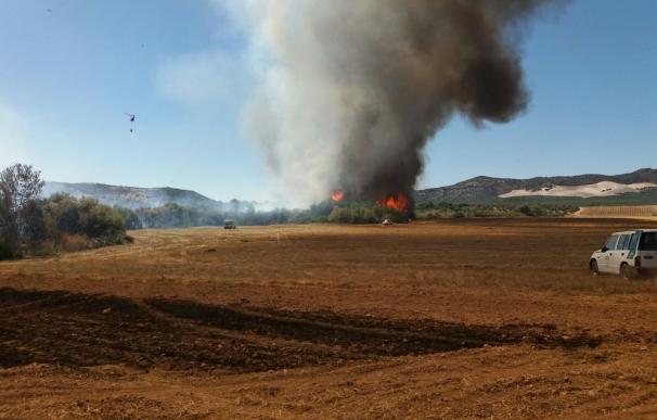 Cinco medios aéreos y 35 profesionales del Infoca combaten el incendio que ahora afecta a Aguilar