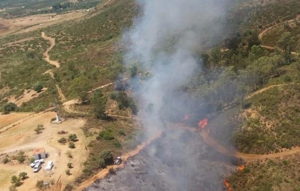 Declarado un incendio en una zona de matorral de Cantillana