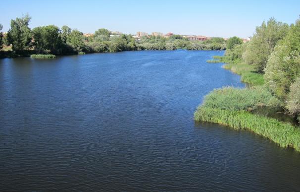 Un informe de la CHD atribuye a un fenómeno natural la espuma blanca que apareció en diciembre en el río Tormes