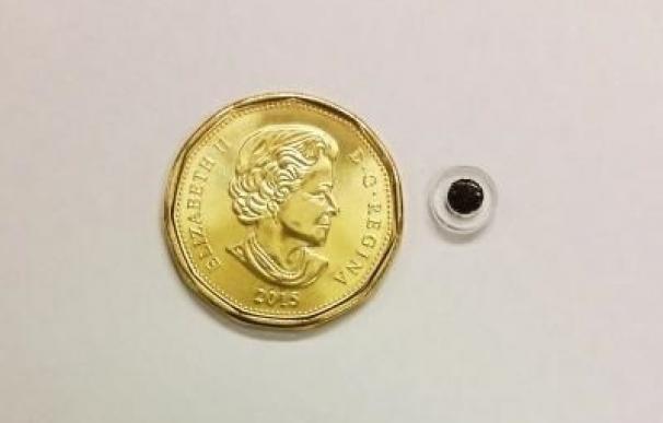 Desarrollan un minúsculo implante magnético que ofrece una alternativa para la administración de fármacos