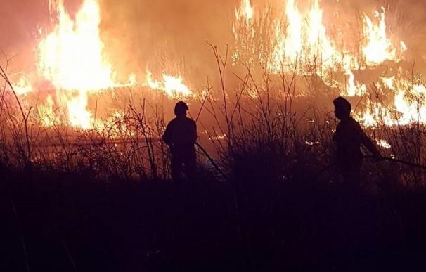 Buscan al responsable de los cinco incendios provocados esta madrugada en Riba-roja, ya apagados