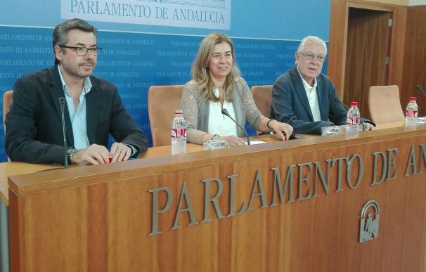 PP-A pide que la comisión investigue al "clan de los tiesos" y critica "el silencio" de Susana Díaz y de los grupos