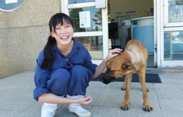 Taiwán prohíbe sacrificar a animales después del suicidio de una veterinaria